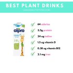 3 Best Plant Milk Alternatives For Toddlers
